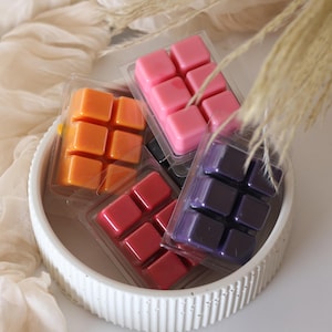 May include: A white ceramic bowl filled with colorful wax melts in orange, pink, red, and purple. The wax melts are arranged in clear plastic clamshells. Dried grasses and a cream-colored fabric are in the background.