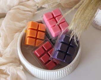 Surprise Wax Melts – Random Color & Scent | Affordable Home Fragrance | Soy Wax Tarts for Wax Warmers | Mystery Scented Wax Gifts