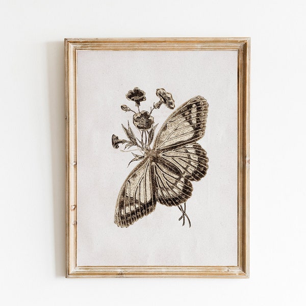 Vintage Butterfly Poster - Antique Wall Art - Printable Digital Download
