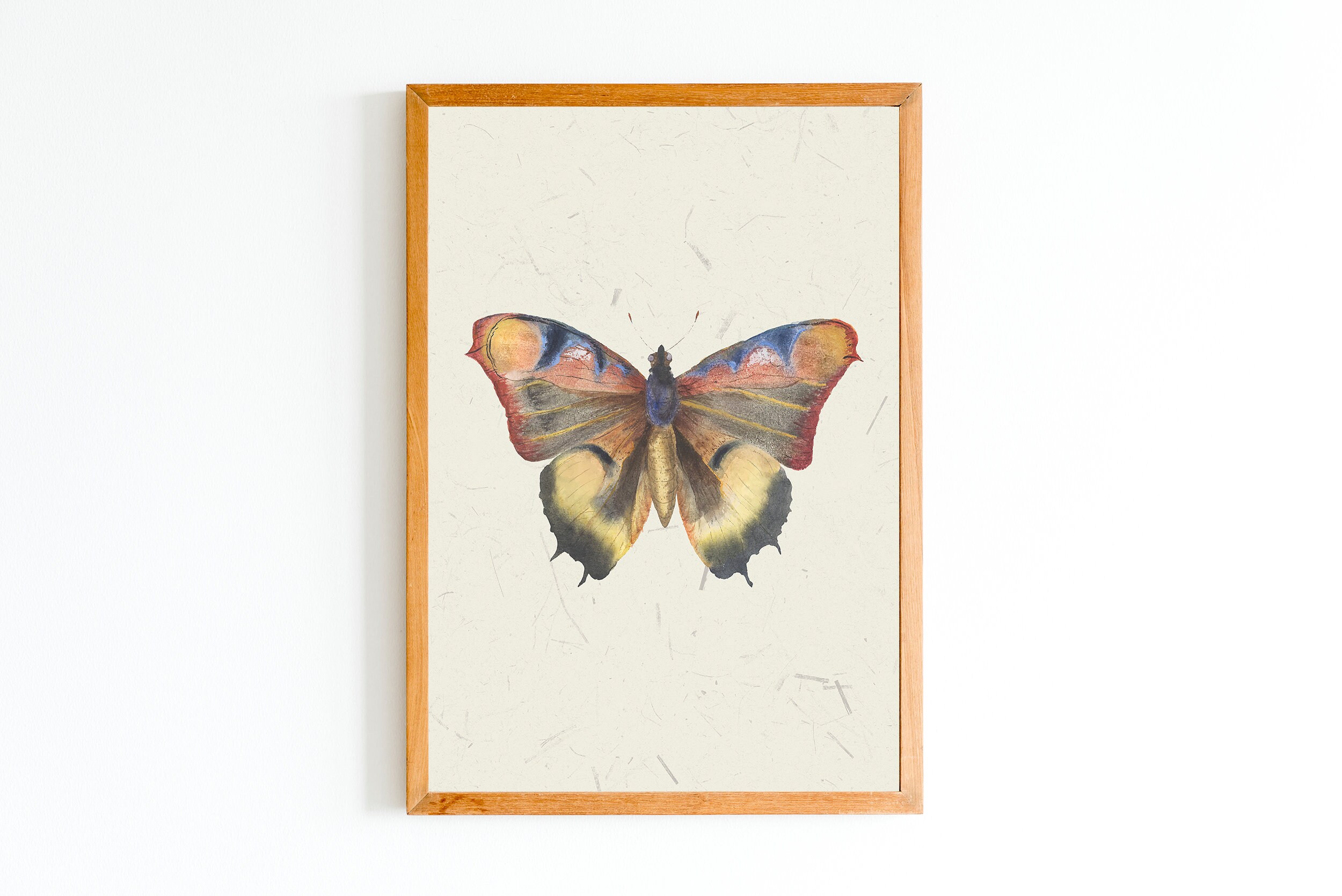 Butterfly Vintage Papillons Insect Art Print Poster 12x18