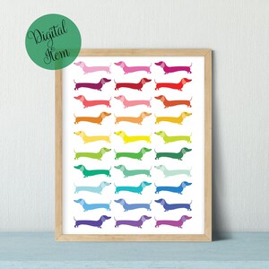 May include: A printable digital art print featuring a rainbow of dachshund dogs. The dogs are arranged in rows, with each row a different color of the rainbow. The background is white.