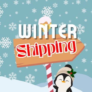 May include: A cartoon illustration with a winter theme. A wooden signpost reads "WINTER Shipping" against a blue backdrop with snowflakes. A penguin wearing a winter hat and holly is at the bottom.