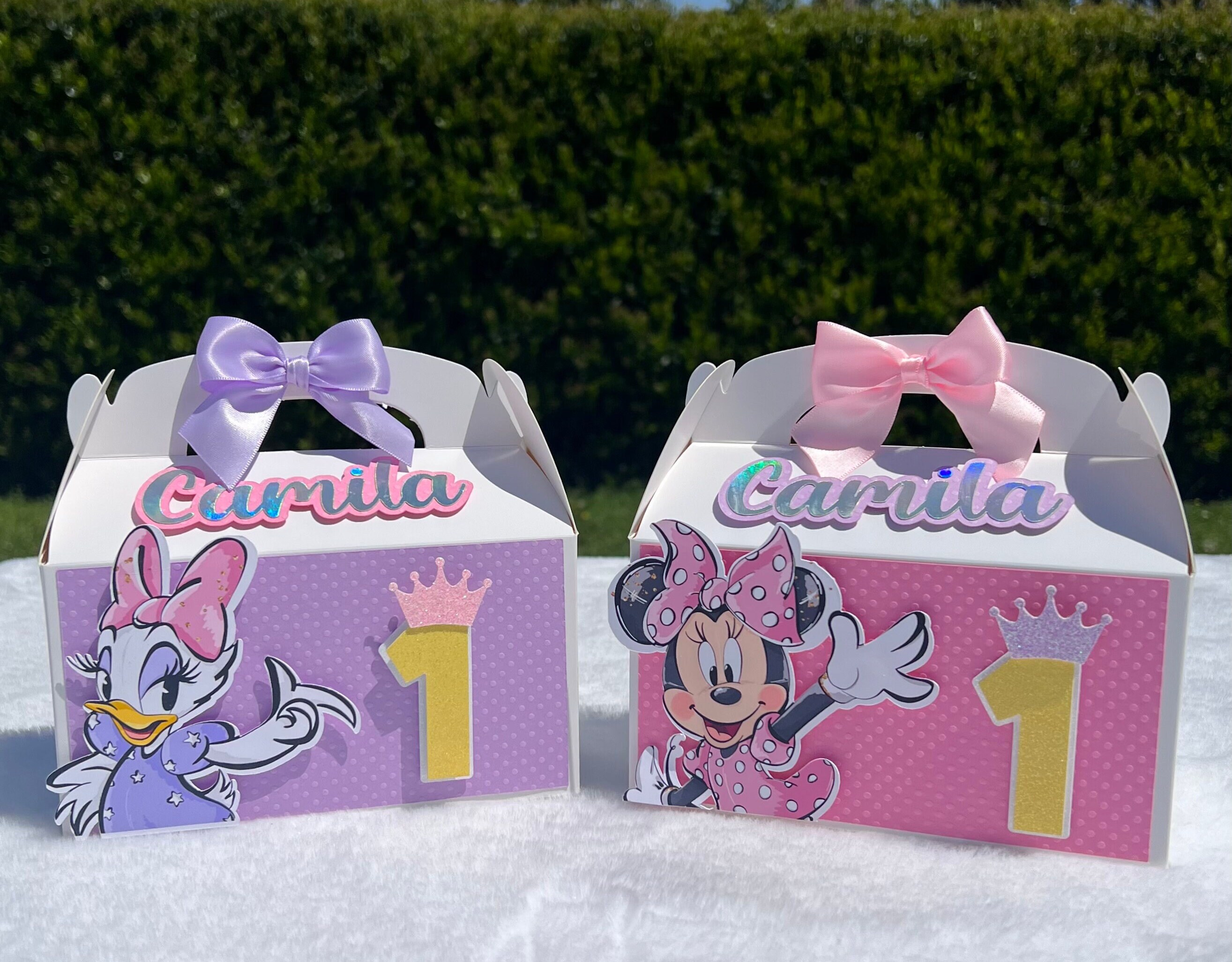 Minnie Mouse Daisy Duck Minnie and Daisy Birthday Decorations Minnie Mouse Favor box Daisy Duck Favor box Minnie centerpiece