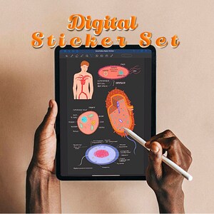 Könnte beinhalten: Ein digitaler Sticker-Satz zur Verwendung auf einem Tablet oder Computer. Die Sticker sind Illustrationen eines menschlichen Körpers, einer Bakterienzelle und einer Pflanzenzelle. Die Sticker sind mit den Namen der verschiedenen Teile der Zellen beschriftet.