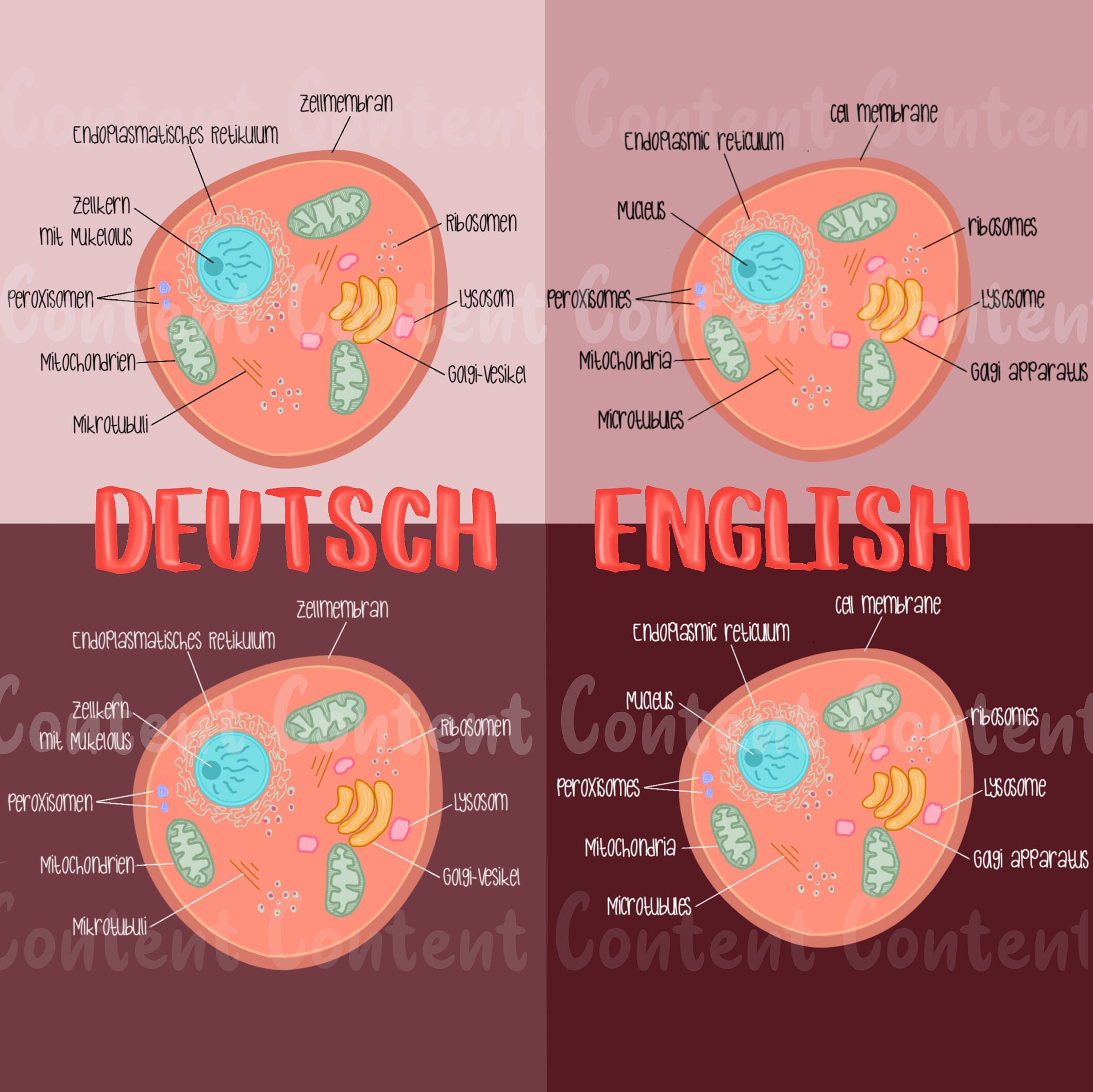 Biology Digital Sticker Set for GoodNotes | digital notes | printable |  teaching | school | Schule | Journaling | Download | Clipart - Etsy Schweiz, image size:2121x2119