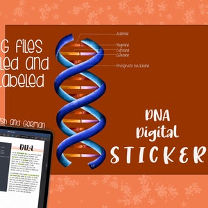 Könnte beinhalten: Digitaler Aufkleber mit einer blau-orangenen DNA-Doppelhelix-Illustration. Das Bild enthält den Text "DNA digital STICKER" und "PNG FILES Labeled and Unlabeled". Ein Tablet zeigt ein DNA-Diagramm und Text in Englisch und Deutsch.