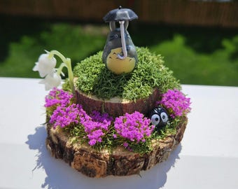 Totoro Terrarium