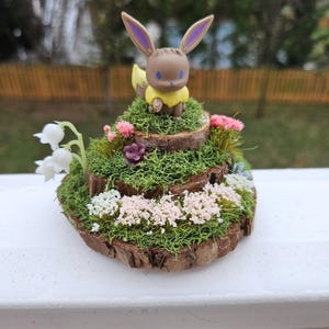 Eevee Terrarium