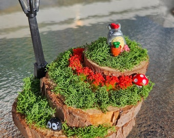 Totoro Terrarium