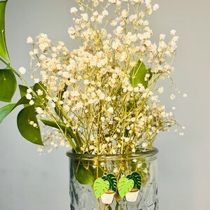May include: Gold tone earrings with a green and white enamel plant design. The earrings are hanging from a glass vase filled with white baby's breath.