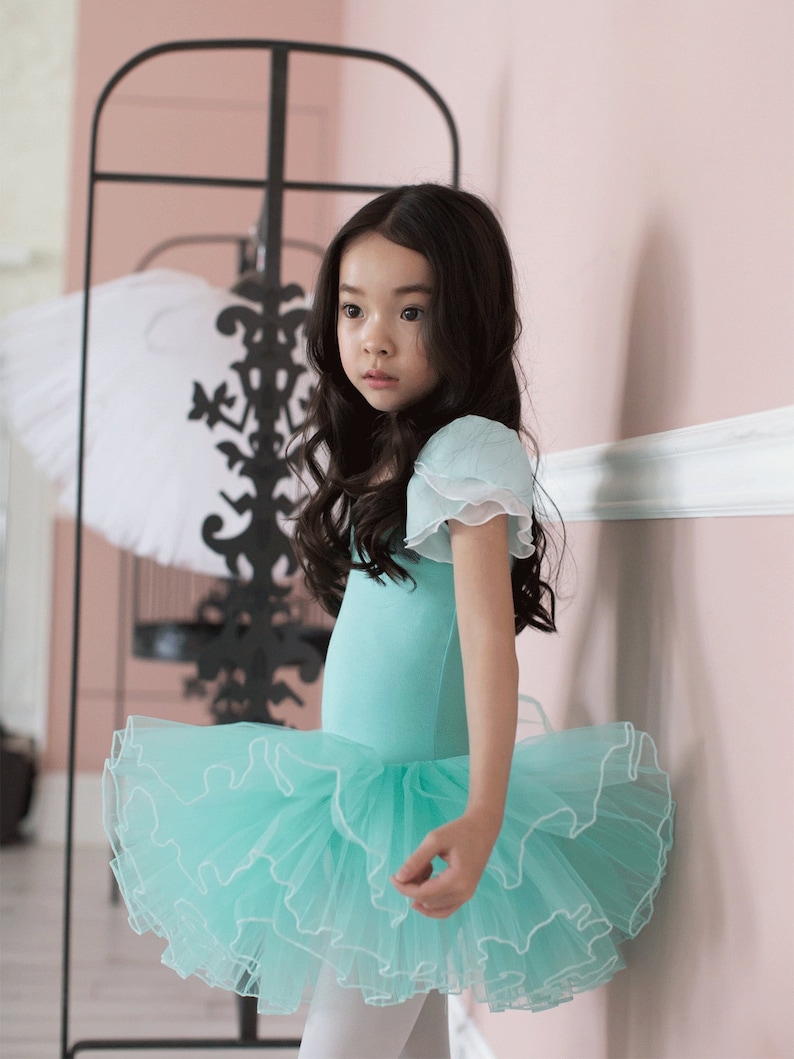 Ballet Tutu Dress Pastel Color Tutu Dress Leotard With Etsy