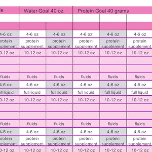 Könnte beinhalten: Ein Wochenplan mit rosa und grauen Zellen. Die Tabelle enthält Zeiten von 8:00 bis 15:00 Uhr, mit Spalten für Wasser- und Proteinzielen. Der Plan listet Flüssigkeits- und Nahrungsergänzungsmittel auf, mit Messungen in Unzen und Gramm.
