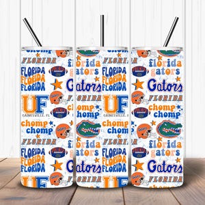 Alligatori della Florida/Modello senza giunture/File PNG