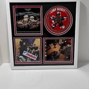 May include: Framed artwork featuring Limp Bizkit album art and a CD. The frame is white, with a black background and maroon matting. The artwork includes the album "Chocolate Starfish and the Hot Dog Flavored Water".