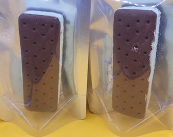 Freeze Dried IceCream| Freeze Dried Candy| PartyFavor| Candy Gift| Novelty Candy| Astronaut Ice Cream