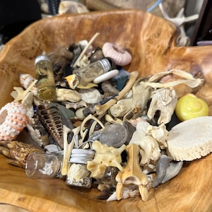 Peut inclure: Un bol en bois rempli d'une collection de curiosités naturelles. Le bol contient de petits bocaux en verre, des coquillages, des os et d'autres éléments organiques. Le bol en bois est de couleur brun clair et présente un motif de grain naturel.