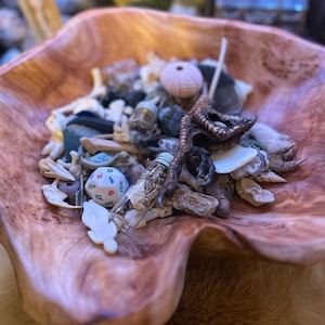 Może przedstawiać: Drewniana miska wypełniona różnymi przedmiotami, w tym małą szklaną butelką, białą kostką do gry z napisem "Wild" i wysuszoną stopą ptaka.