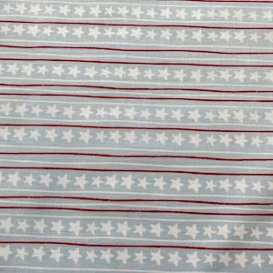 Firework Fields von Gracey Larson. Ein Riley Blake Stoff.