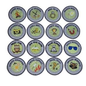 May include: A set of 16 round, gray and yellow embroidered patches with various designs and text. The patches feature images of a campfire, a sword, a ring, an egg, a camera, a bird, a trophy, a horseshoe, an owl, a cake, a polar bear, sunglasses, a mountain, a fire, a question mark, and a raccoon.