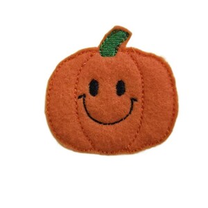 May include: Orange felt pumpkin with a stitched-on smiley face. The pumpkin has a green felt stem.
