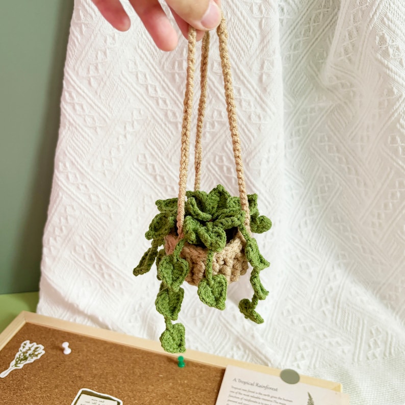 May include: A small crocheted hanging planter with a green plant and a beige pot. The planter is made of beige yarn and has a simple design. The plant has long, trailing leaves.