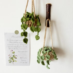 May include: Two crocheted hanging plant pots with green leaves and a beige pot. The pots are hanging from a wooden hook on a white wall. The text on the card reads "Forrest Gump" and "Miracles happen every day".