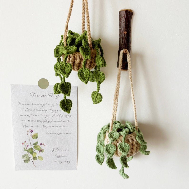 May include: Two crocheted hanging plant pots with green leaves and a beige pot. The pots are hanging from a wooden hook on a white wall. The text on the card reads "Forrest Gump" and "Miracles happen every day".
