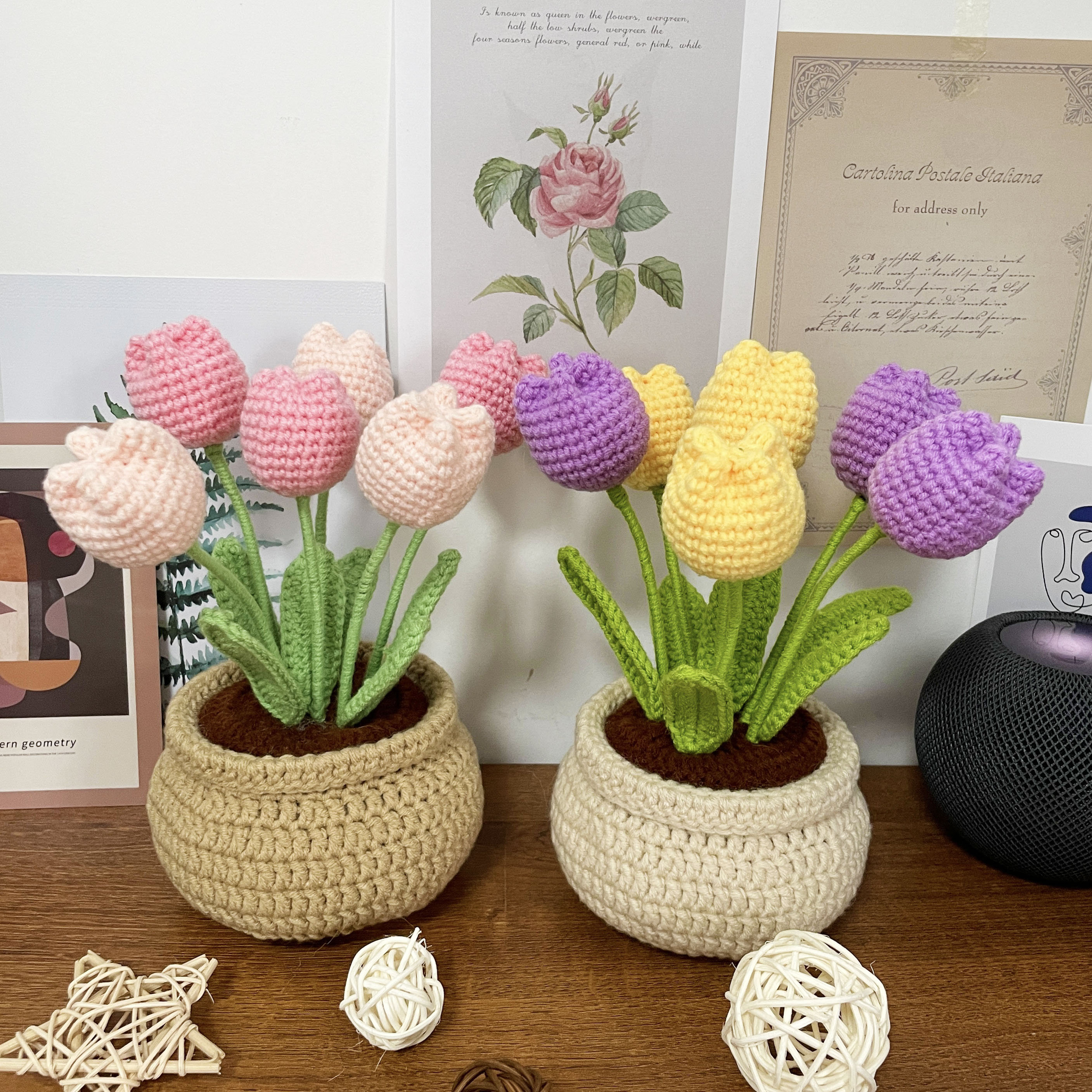 Lily's Lyric Flower Crochet Kit, Tulip Flowerpot, Step-by-Step Video  Tutorial for Adults Teenagers, DIY Home Decoration Craft Gift Idea Pink