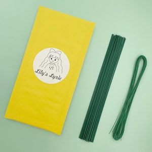 80 Stück Blumenzweige & Eisen-Draht | von Lily's Lyric