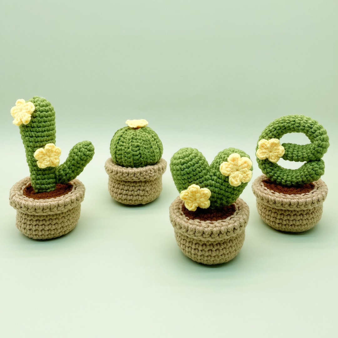 Crochet Cactus Kit: LOVE Plant DIY Home Decor With Video - Etsy