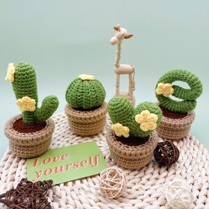 Crochet Cactus Kit: LOVE Plant DIY Home Decor With Video - Etsy
