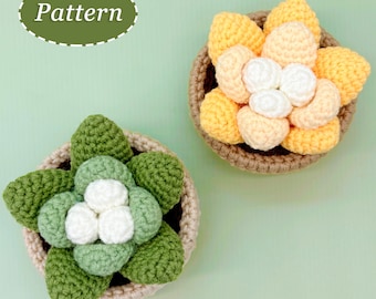 Motif au crochet de plantes succulentes | Décoration d'intérieur DIY | Motif végétal au crochet | anglais