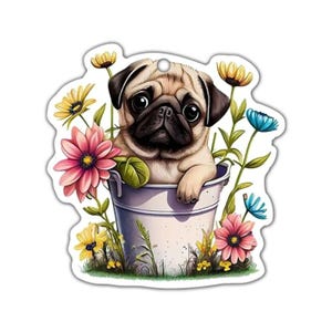 May include: A cute pug dog illustration in a white bucket surrounded by colorful flowers. The pug has a tan coat with a black face and big, dark eyes. The flowers are pink, yellow, and blue.