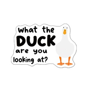 Puede incluir: Una pegatina blanca con un pato de dibujos animados y la frase "what the DUCK are you looking at?" en texto negro. El pato tiene pico y patas naranjas.