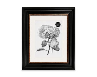 May include: A black picture frame with a thin copper-toned inner border and an off-white mat. The frame contains a black and white botanical print of hydrangea flowers with the circular text logo PHOTO FRAMES & ART in the upper right corner.