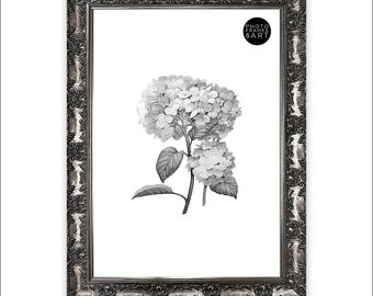 Antique Silver A2 Photo Frame – Ornate Wall Hanging Decor