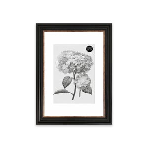 May include: A rectangular black picture frame with a thin copper-toned inner border, featuring a white mount and a black and white botanical print of hydrangea flowers. A small circular sticker with the text PHOTO FRAMES & ART is visible.