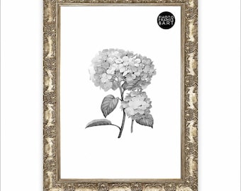 Antique Champagne Silver A2 Photo Frame – Ornate Wall Hanging Decor