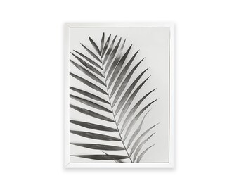 OXYDO Black/White Palm Plastic Frame 24 main image 4