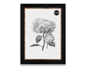 May include: A black rectangular picture frame with a thin inner copper-colored border containing a white print of a hydrangea flower. The top right corner of the print features a circular black logo with the text PHOTO FRAMES & ART.