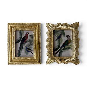 May include: Two gold-coloured picture frames with ornate, textured edges. Each frame holds a print of colourful birds perched on leafy branches. The prints feature a parrot and other birds in shades of red, blue, green, and yellow.