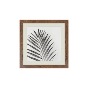 May include: A framed black and white photograph of a single palm leaf against a white background. The frame is brown wood with a white mount.