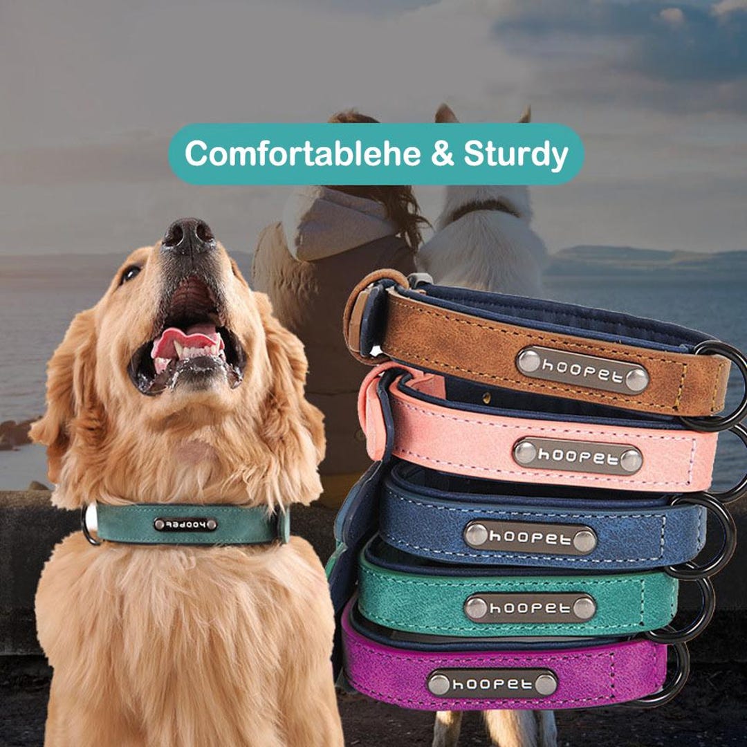 Personalized Leather Dog Collar, Personalized Dog Collar, Genuine ...