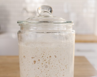 Fresh Sourdough Starter,  Sourdough Bread, Bread Making Kit, Sourdough Starter, Sourdough Starter Kit, Breadmaking, Home Baker