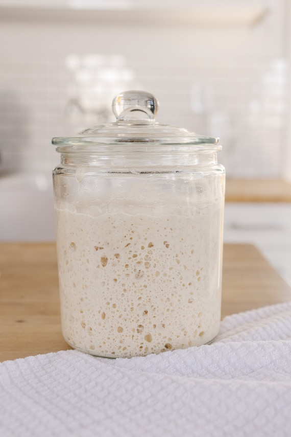 Fresh Sourdough Starter,  Sourdough Bread, Bread Making Kit, Sourdough Starter, Sourdough Starter Kit, Breadmaking, Home Baker