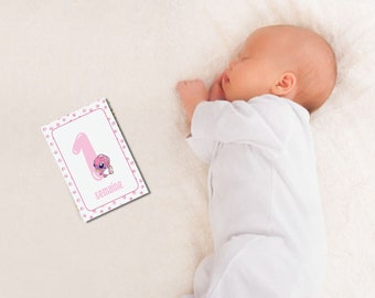 Baby milestone card - First year milestone card - set of 16 cards - birth gift - stitch theme milestone card