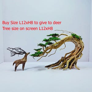 Tree Bonsai and Deer