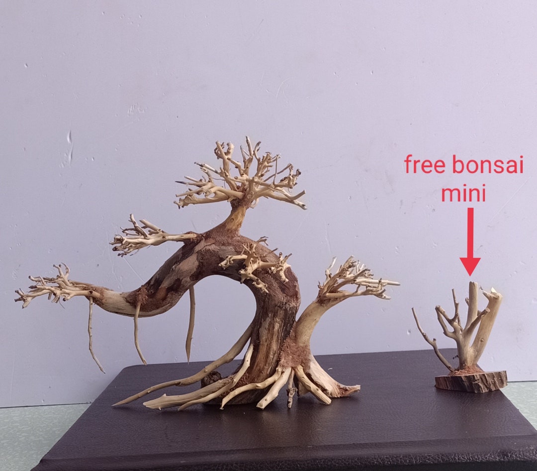 Bonsai Driftwood for Aquarium Etsy