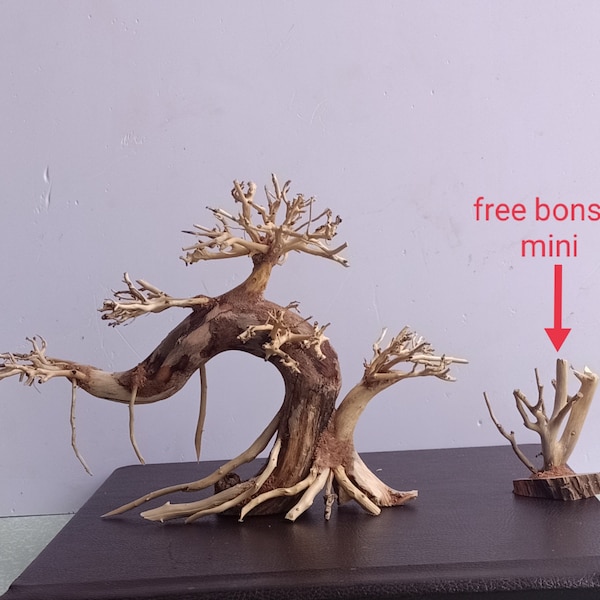 Aquarium Bonsai Tree Etsy