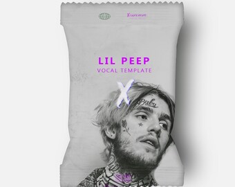 Vocal Presets for FL Studio: Lil Peep – US Rap & Hip Hop Vocal Presets, Vocal Mixing Preset (FL Studio Stock)